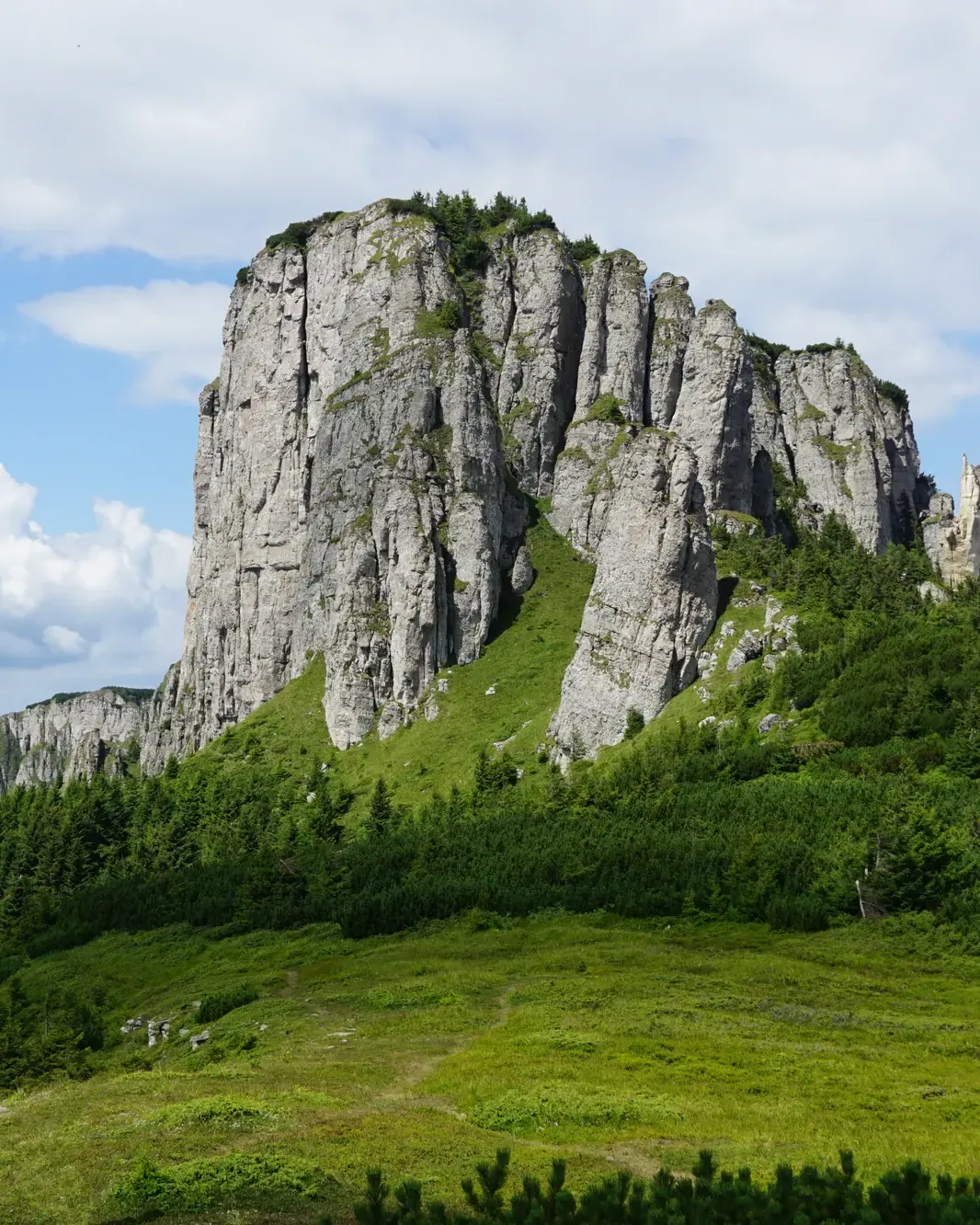 Ocolașul Mare peak, a rock wall above the meadow and the fir forest